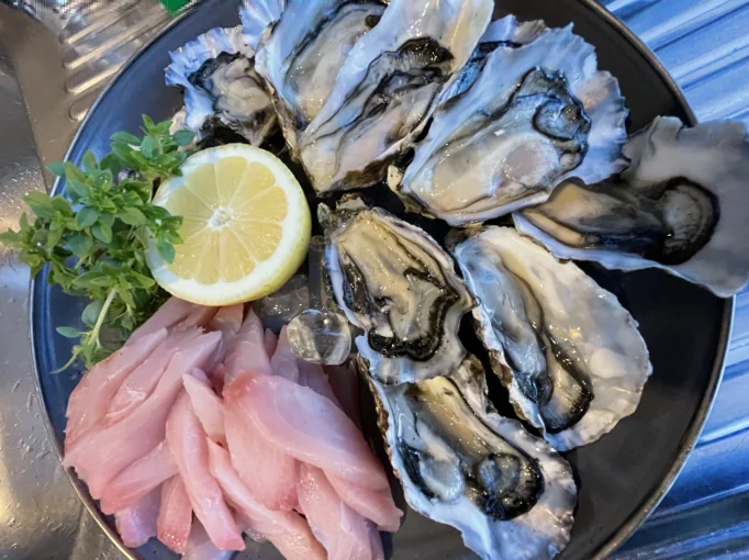 Fresh New Zealand oysters and kahawai